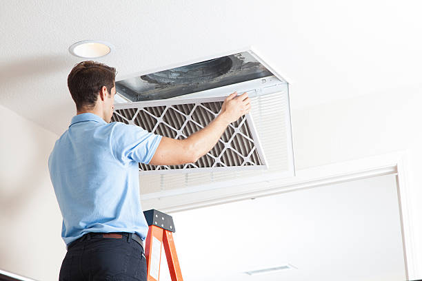 Best Air Filters and Purifiers in Centre Hall, PA
